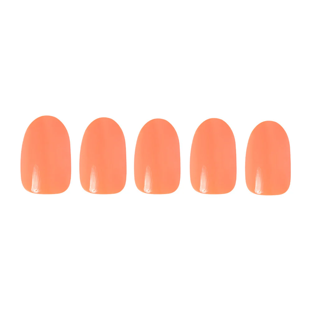 Apricot - Image 7