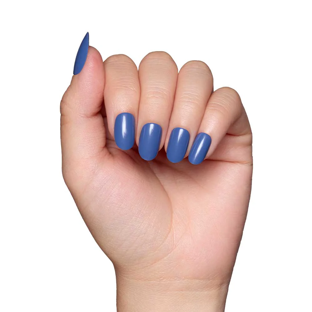 Regal Blue - Image 6
